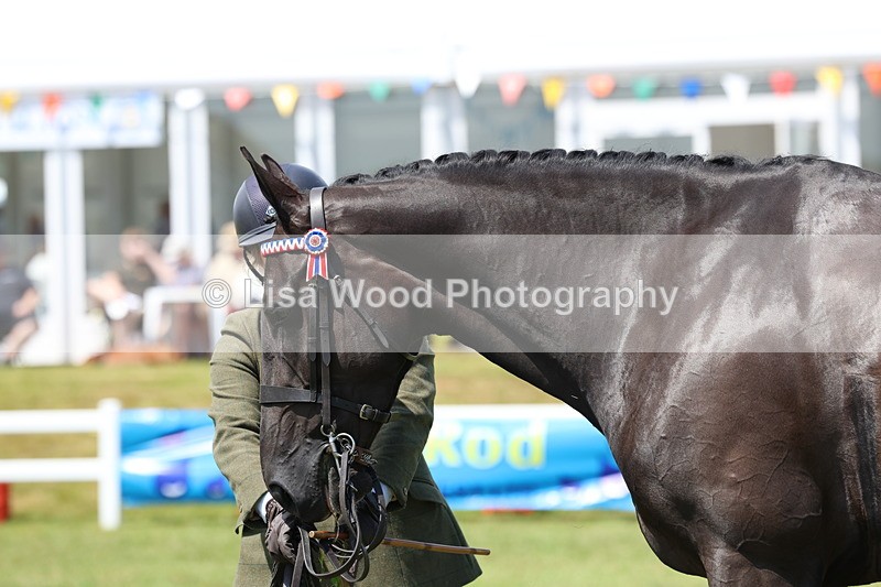 3E7A1232 - Class 8: Open Riding Horse/Hack