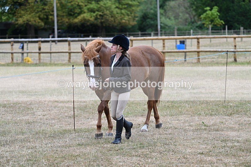 WJ7_8002 - Class 4 Prettiest Mare up to 14.2hh
