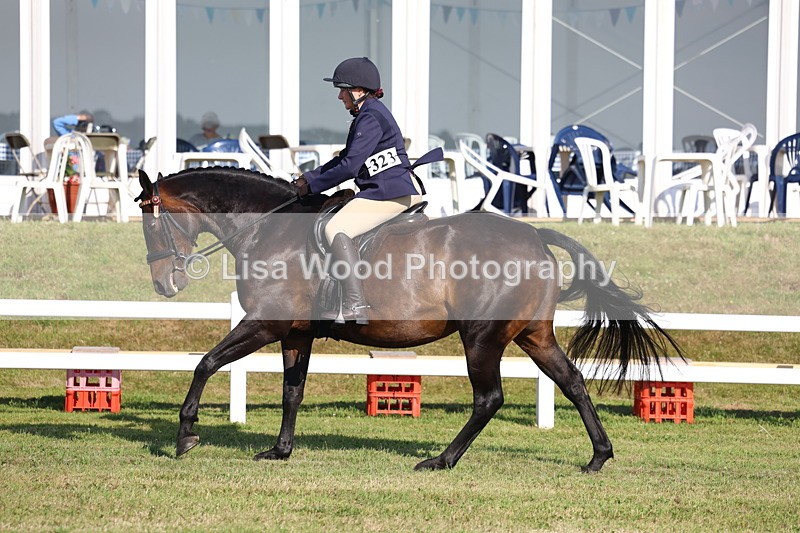 3E7A5482 - Class 2: Rising Star Large Hack/Riding Horse
