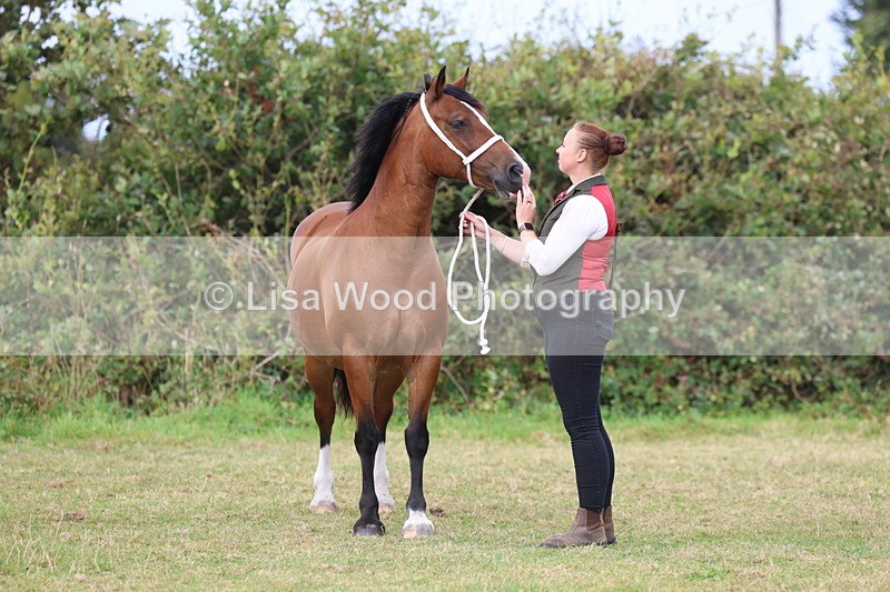 3E7A4706 - Class 16: Best Grass Kept