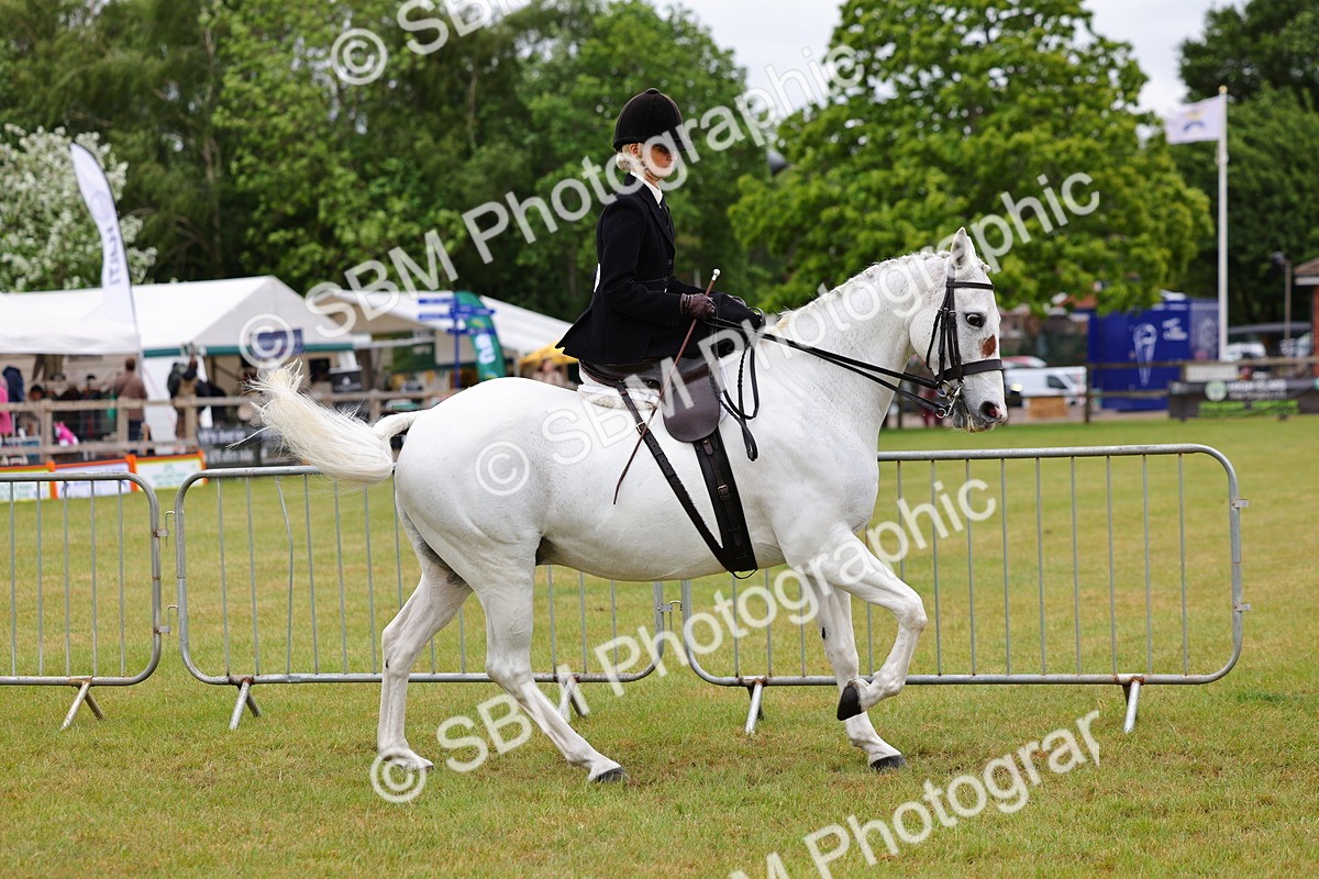 SBM_02872 - Class 9-11 Side Saddle including LIHS Rising Star Ladies Show Horse