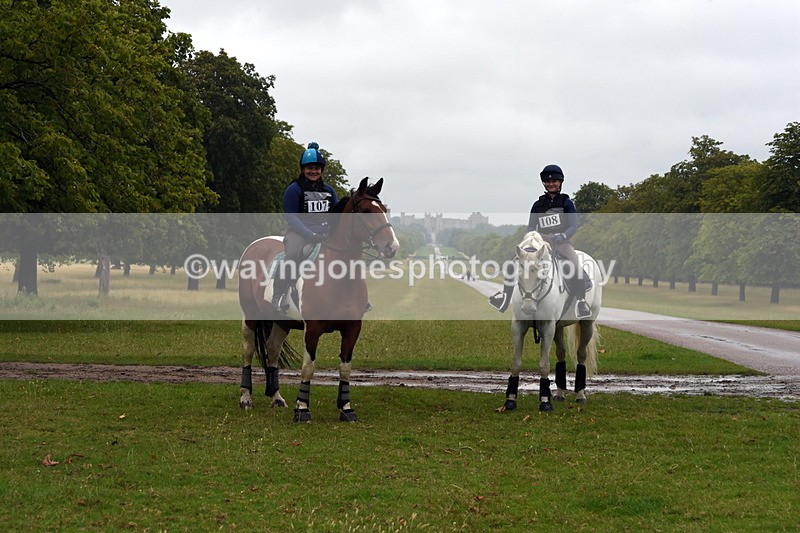 TT3_8125 - Time at Crossing 09:15 to 10:15