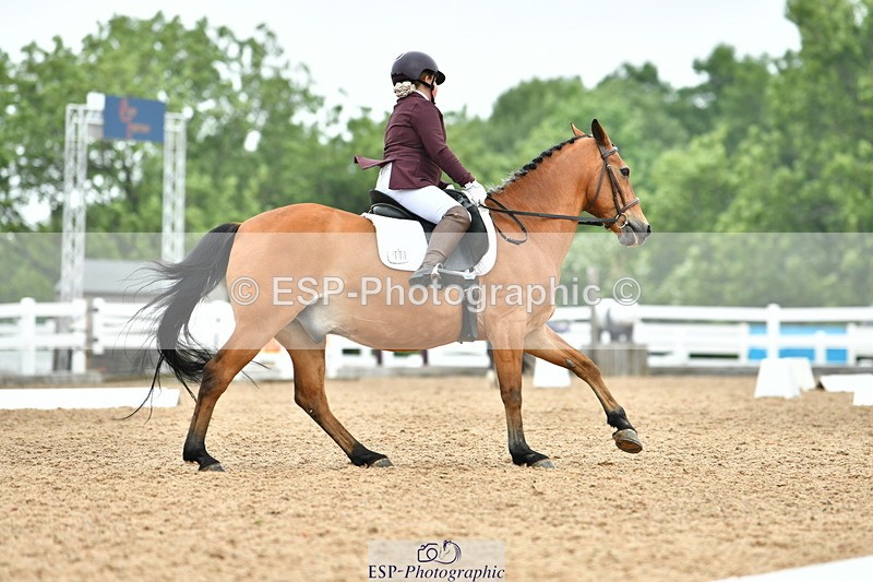 230708A-114445-02612 - Prelim 13