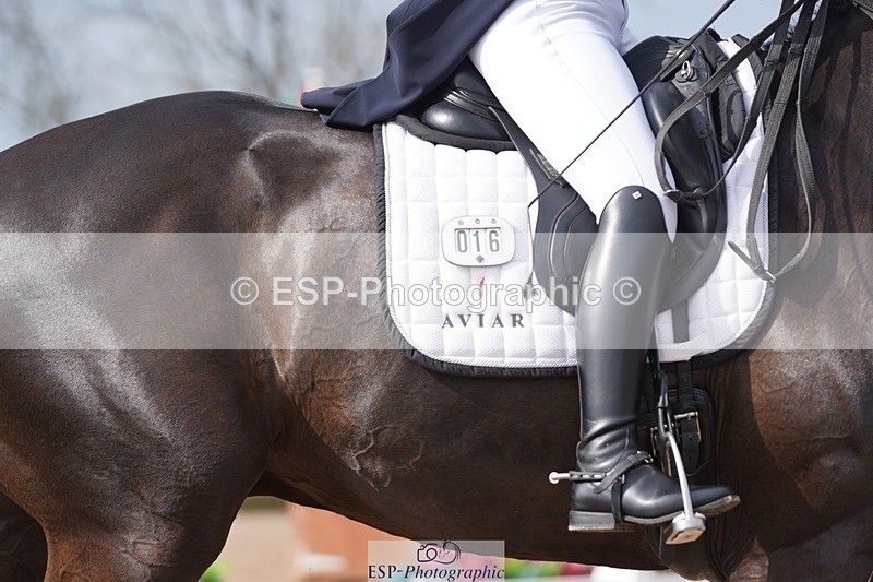 250404-103758-04348 - 016-Sarah.Millis-Le.Zorro.BH