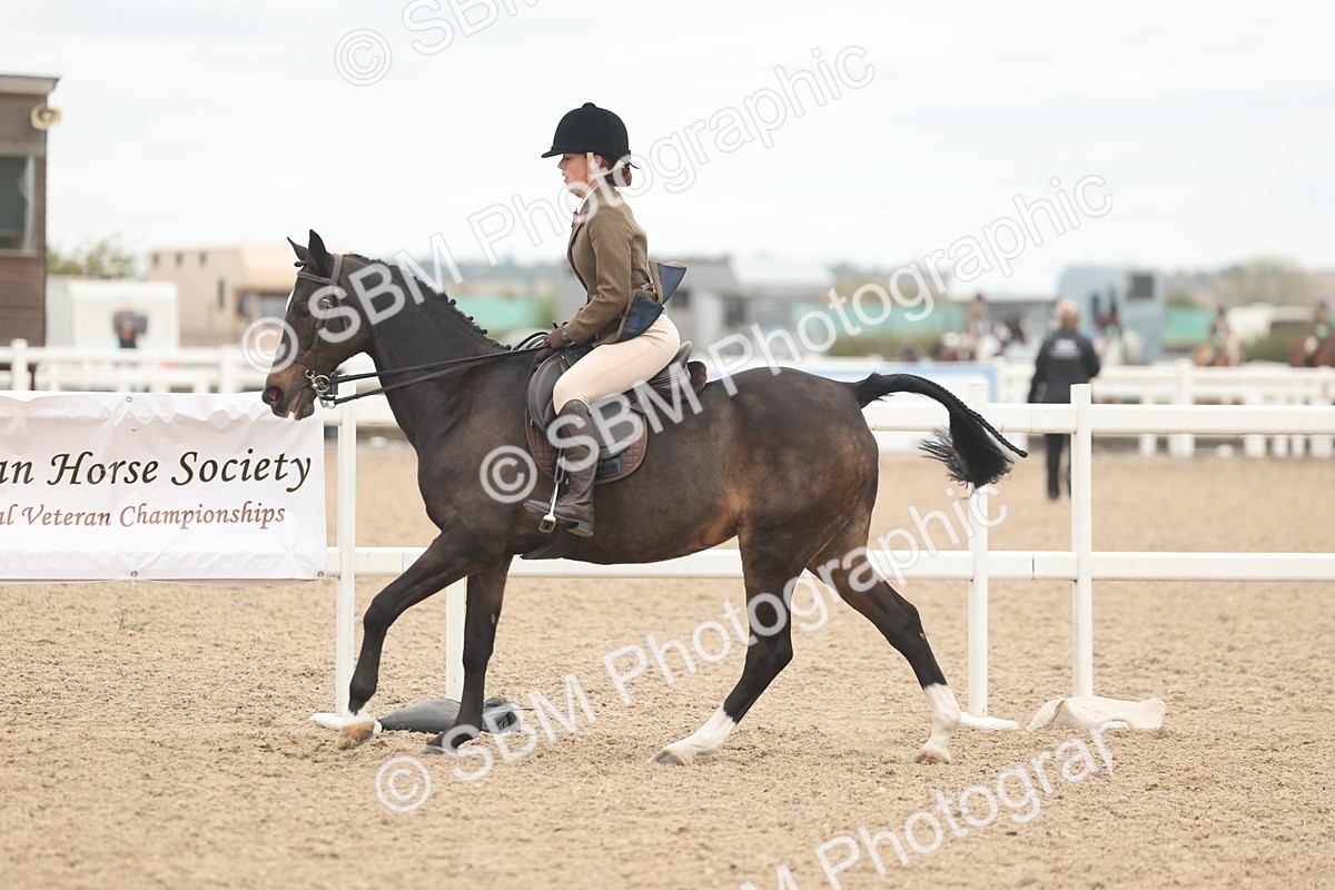 SBM_19153 - Class 316 - Best Pony-Rider Combination