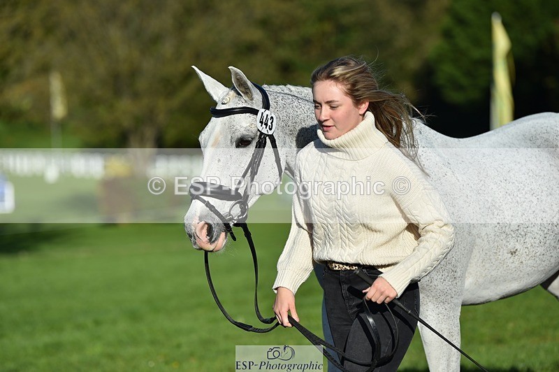 231022-101028-22286 - 443-OVERLEY.STORMBREAKER-Laney.Cridland-TrotUp+SJ