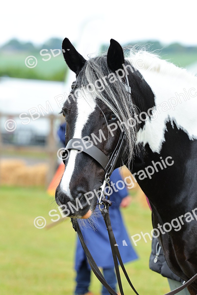 SBM_01262 - Class 1-4 - BSPA Ridden