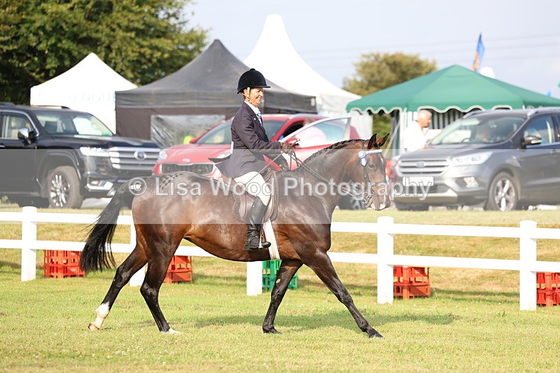 3E7A7702 - Class 1: Rising Star Small Hack/Riding Horses