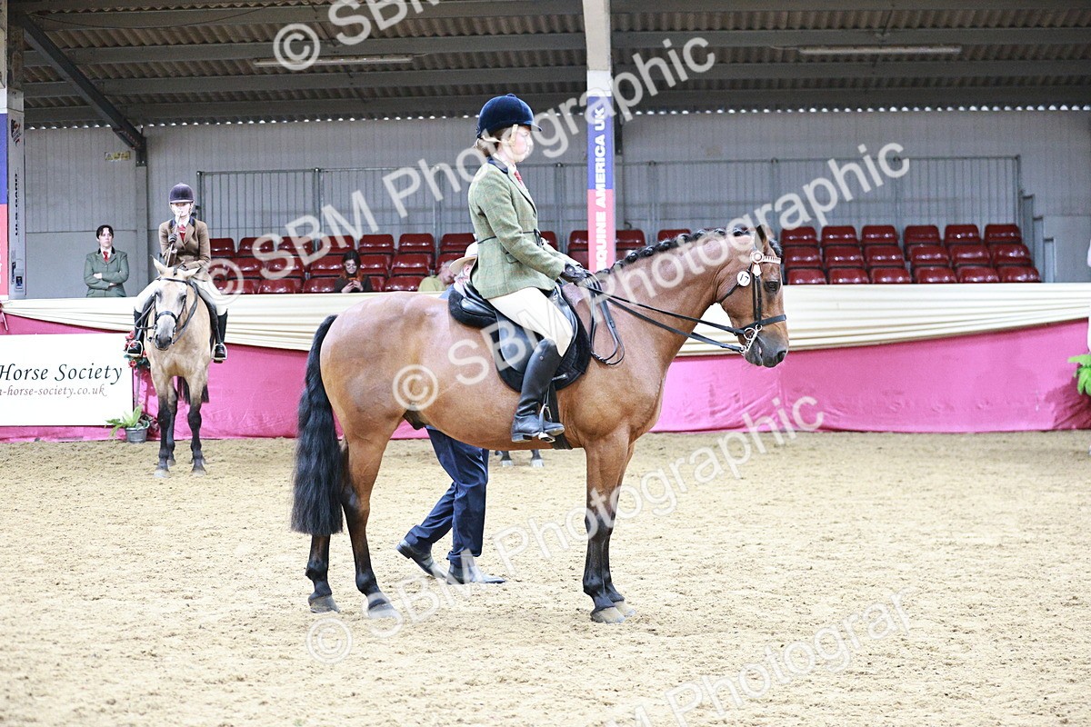 SBM_03540 - Class 6A Area Ridden Pre-Vet