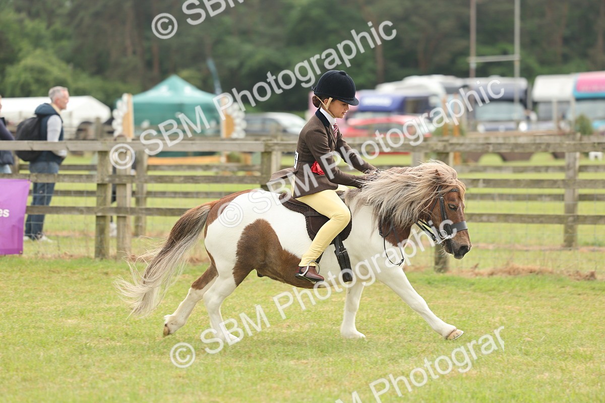 SBM_09139 - Class 78-80 - Ridden M&M Non Welsh Ponies