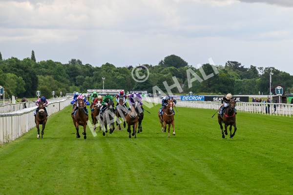 140624-Race 3-Alfa Kellenic-4275 - Race 3 3.00pm British EBF Supporting Racing With Pride Fillies' Handicap