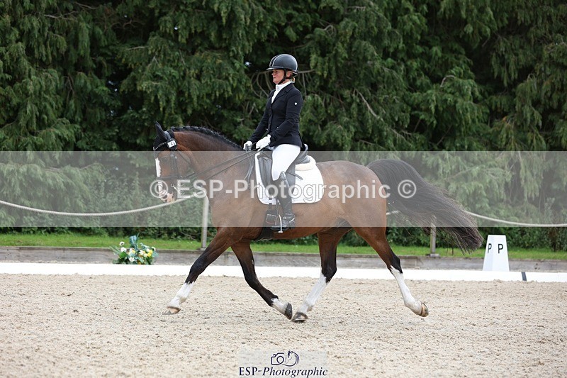 230813-152017-08042 - Cls 11 Elem Bronze 14.30 to End