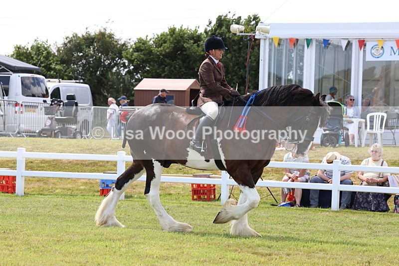 3E7A2915 - Class 13: Heavy Horse Ridden