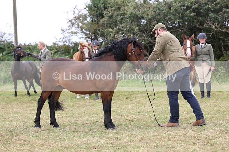 3E7A4749 - Class 16: Best Grass Kept