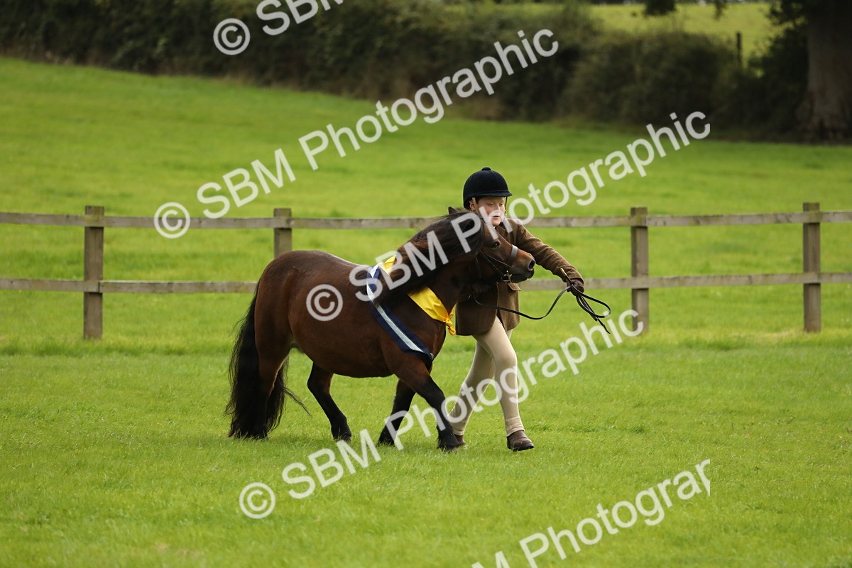 SBM_75416 - Equitation Supreme Championship