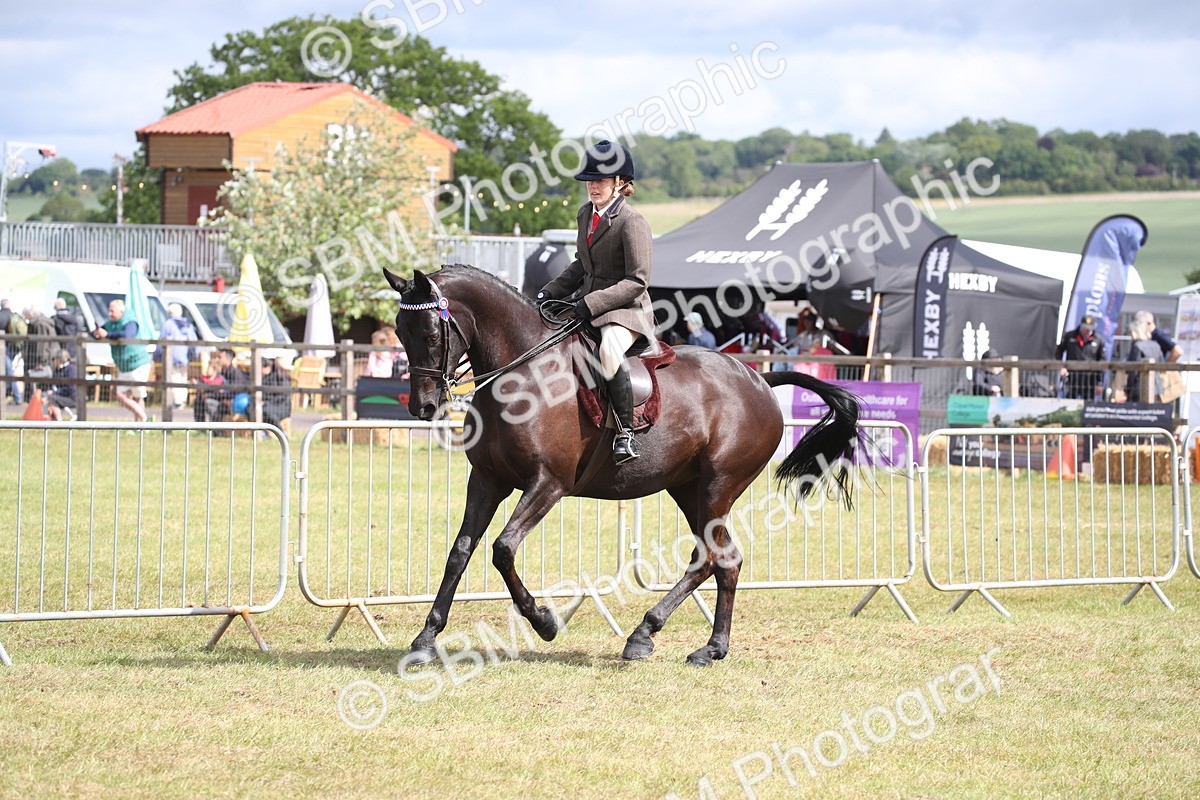SBM_13232 - Class 95-96 - LIHS BSHA Rising Star Hack Riding Horse