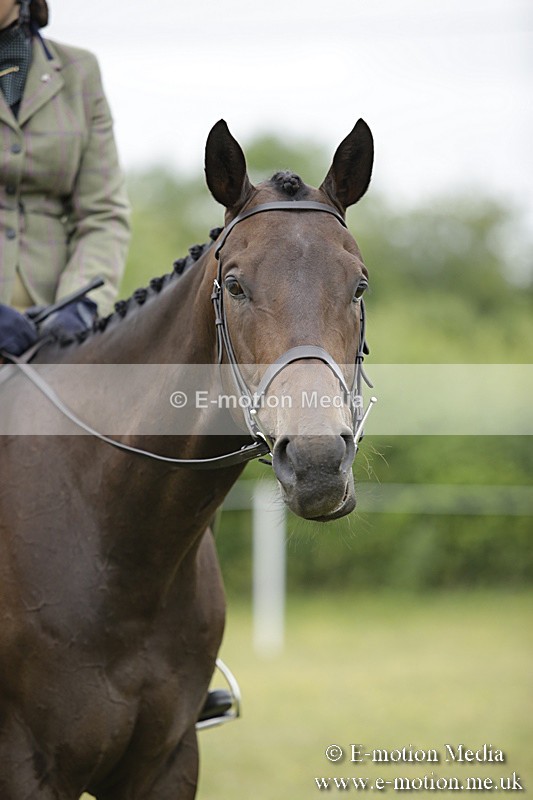 BVR160717-480 - Ring 1 BVRC Show 16/07/17