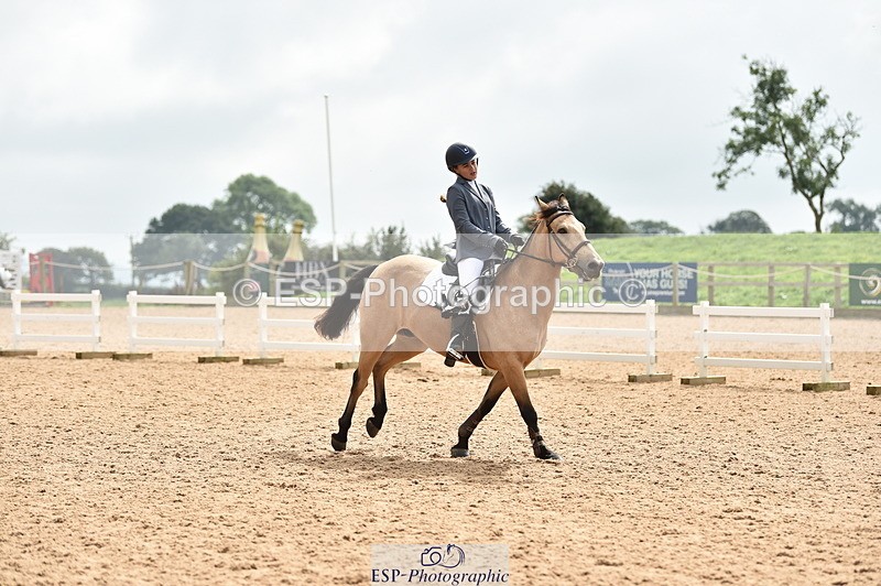 230902A-120836-00948 - Cls 2B Pony Small 80cm