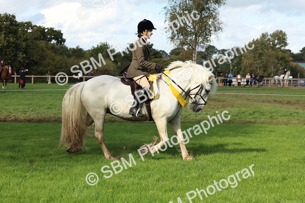 SBM_46359 - Working Hunter Pony Supreme Championship