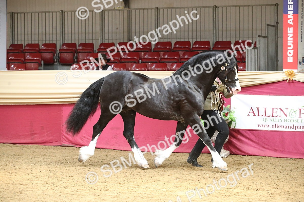 SBM_05458 - Class 8R - Regional IH Veteran