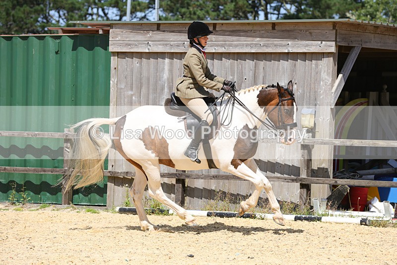 1X9A8830 - Class 19: Riding Club Horse