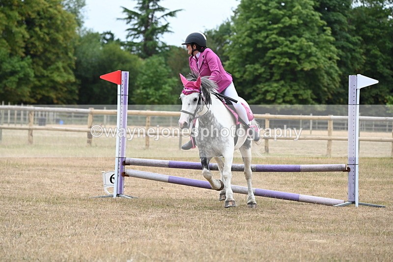 WJ6_0346 - Class 13 Novice Jumping 60cm