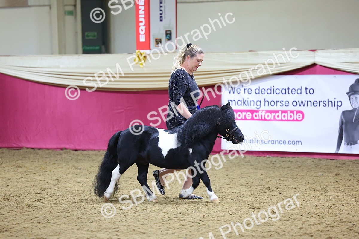 SBM_19253 - Class J Coloured Champ