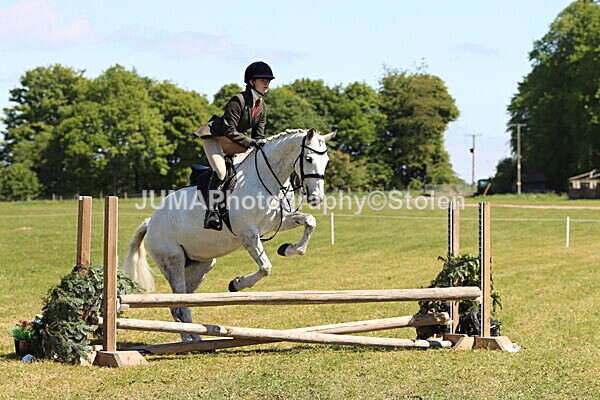 IMG_3949 - Working Hunter