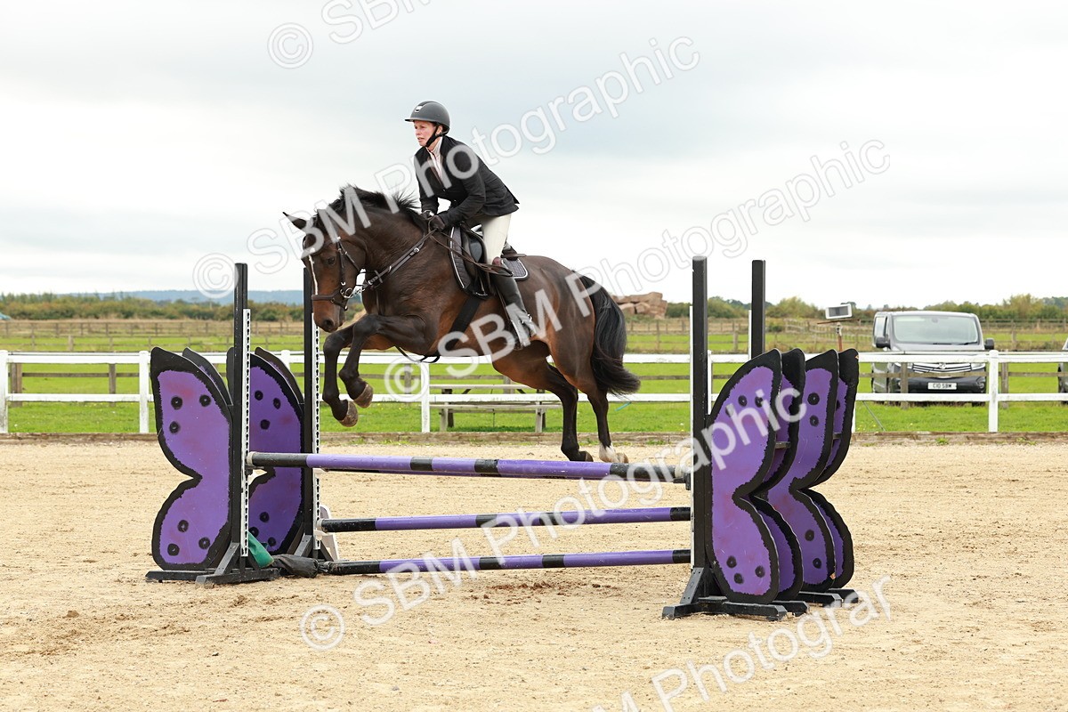 1I0A6912 - Class 2 - Senior British Novice