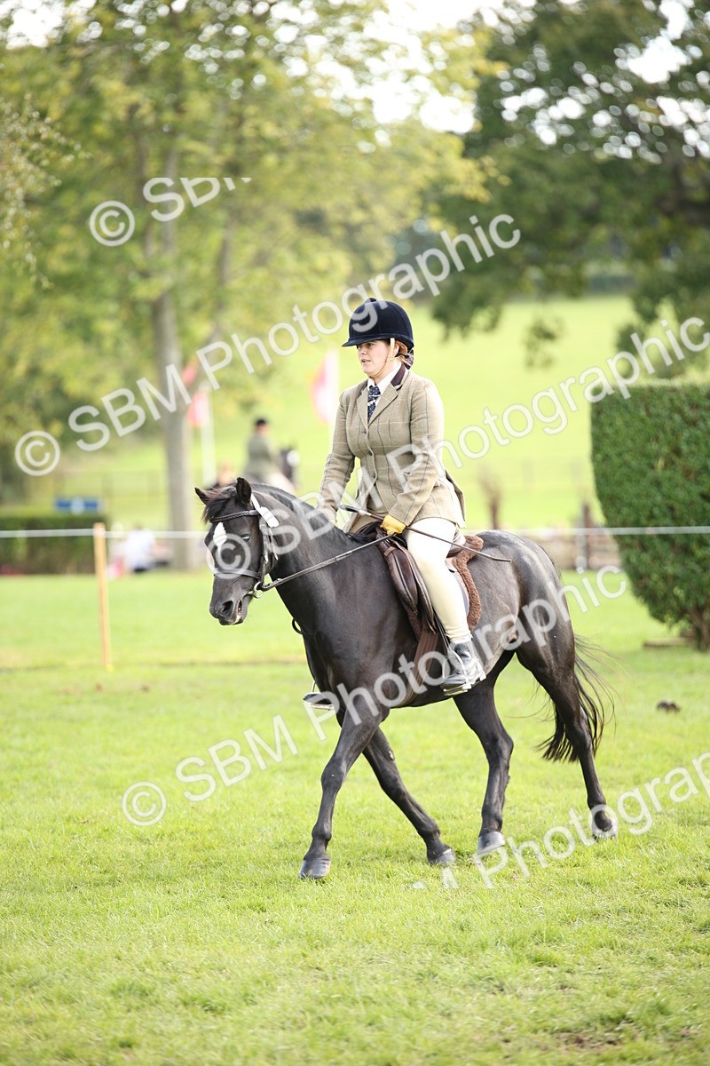 SBM_50159 - S26 - Young Veteran - Ridden