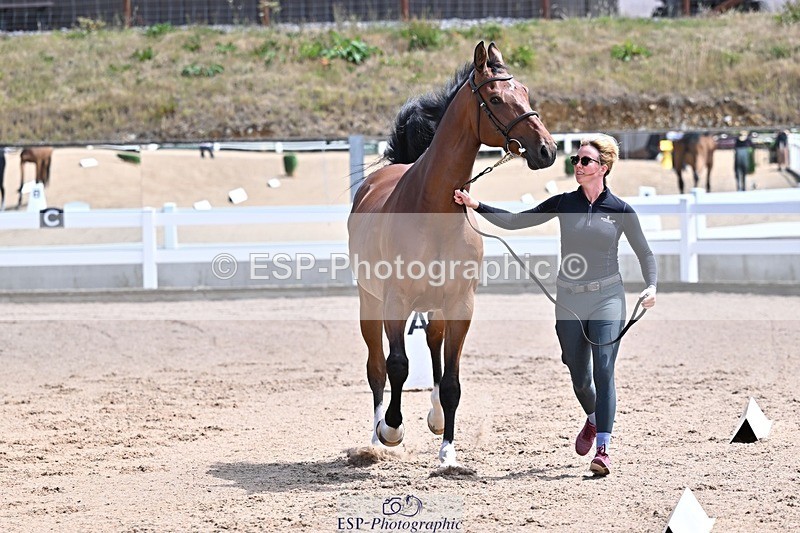 250716-124232-00129 - Trot Up 12.30 to 1.30