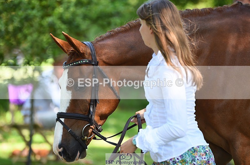 230524-160706-00695 - 208-NICO-Holly_Clarke-WEDTrotUp+DR