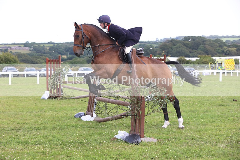 JPP_3818 - Class 23: Working Hunter 80cm