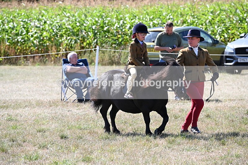 WJ6_8095 - Class 36 Lead Rein