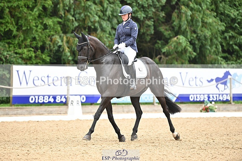 240811-120325-05333 - 118-Katie.Kneen-Springtime.Evergreen