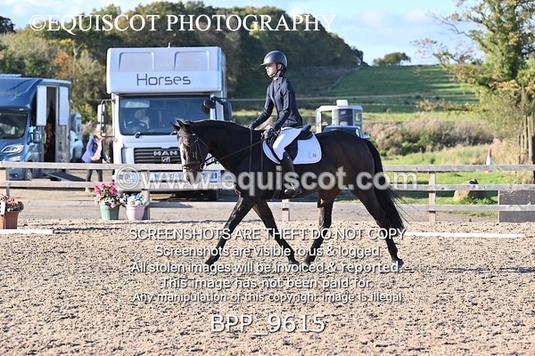 BPP_9615 - SHORT ARENA