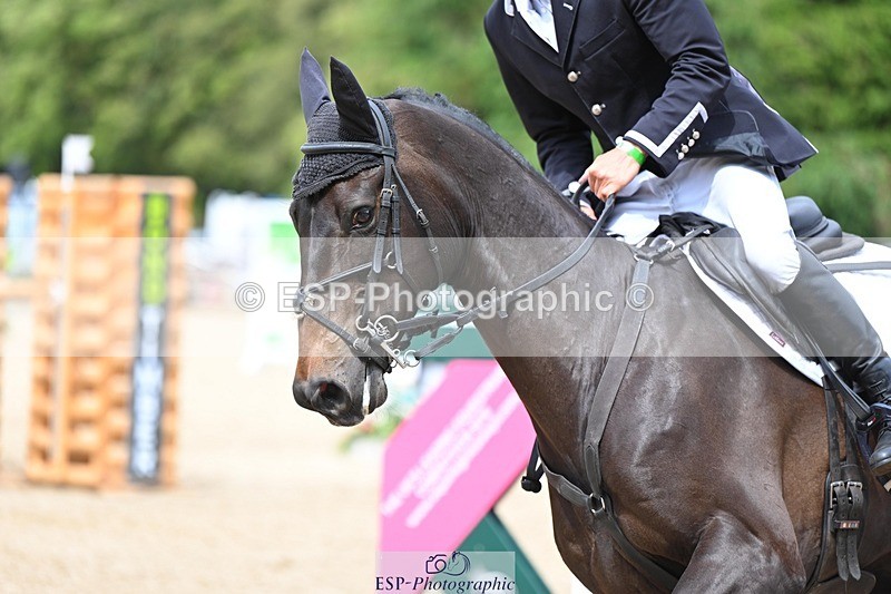 240525-144534-15858 - 507-DASSETT_ROCK_STAR-Tom_D_Crisp