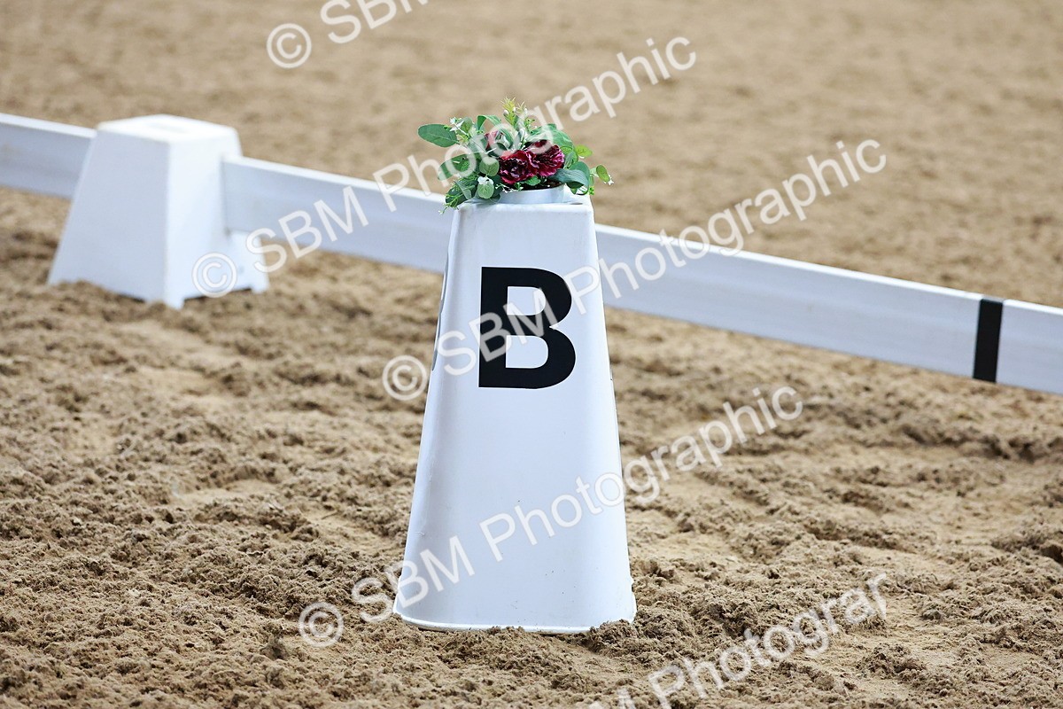 SBM_000240 - Class 3-6-9-18 - Pre Nov Ele PSG - FSM