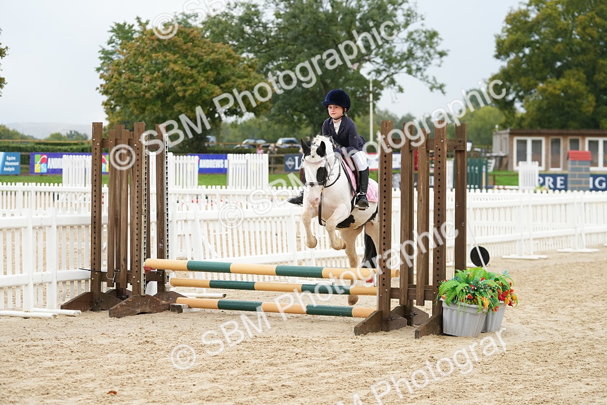 SBM_32454 - J5 - Junior Pony 50cm Championship