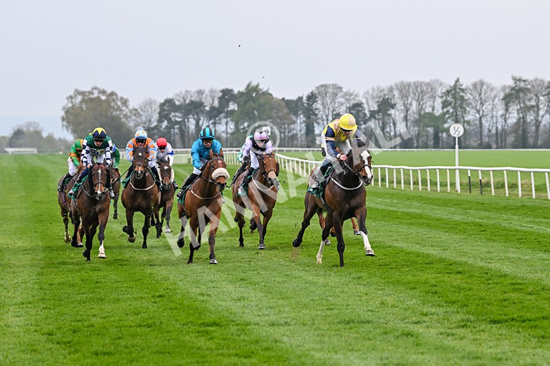 120425-Race 6-Musical Touch-1464 - Race 6