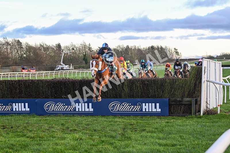 281224-Race 5-Poetry Man-4743 - Race 5