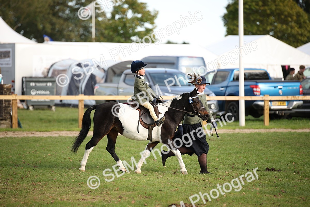 SBM_54281 - S27 - Mature Veteran - Ridden