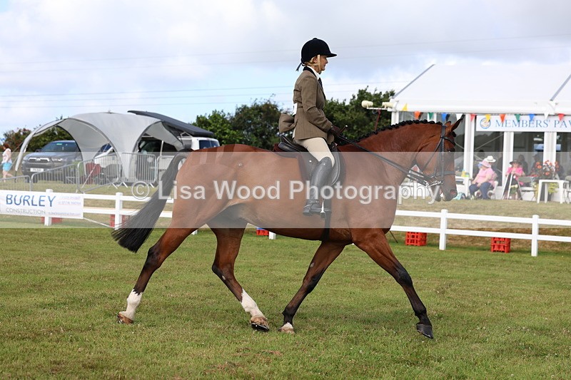 3E7A9483 - Class 4: Rising Star M/H Hunter