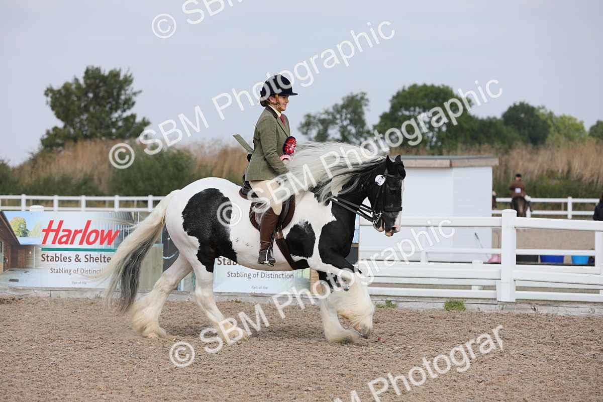 SBM_12880 - Class 307 Ridden Coloured Pony