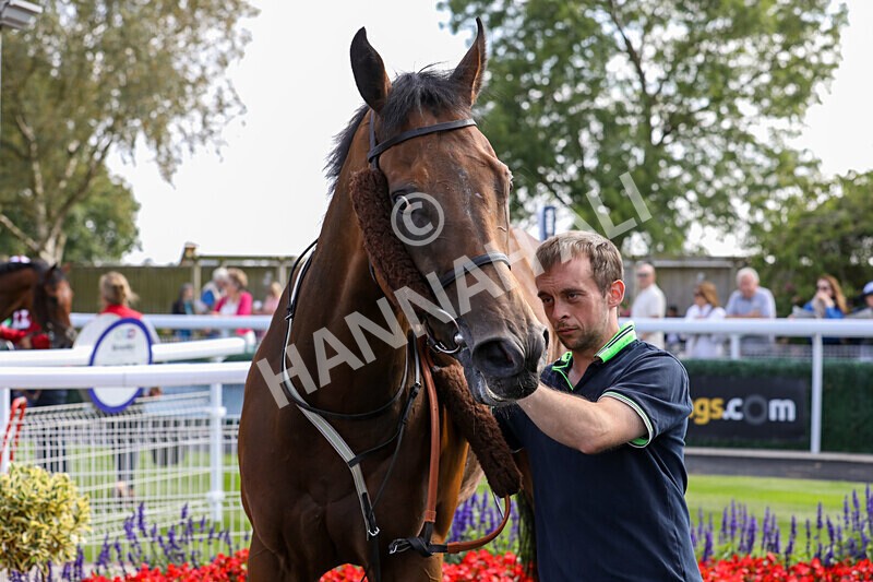 310824-Race 4-Spirit Of Applause-1620 - Race 4