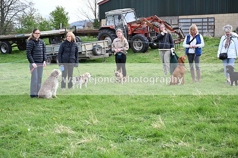 WJ6_8042 - Class 2 Best Pedigree