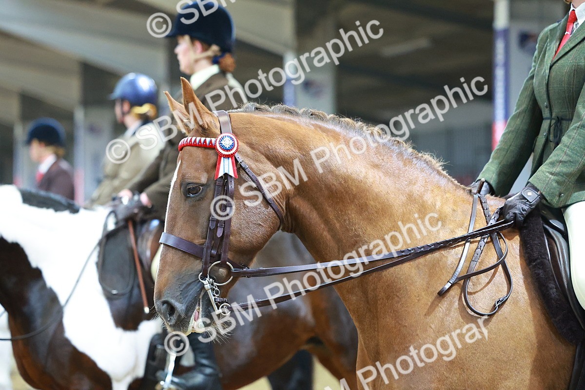 SBM_09683 - Class 102 - HOYS Veteran Qualifier - Ridden Veteran