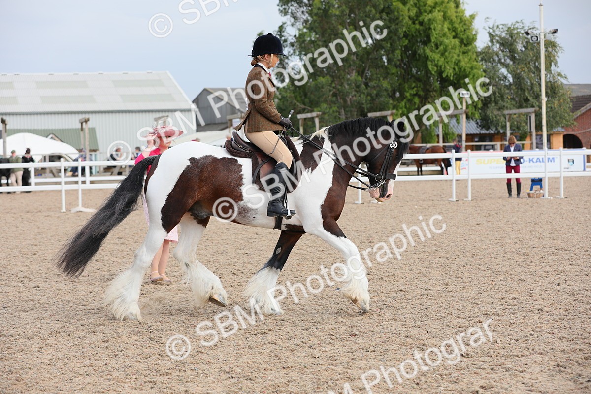 SBM_17762 - Class 315 Best Horse/Rider Combination