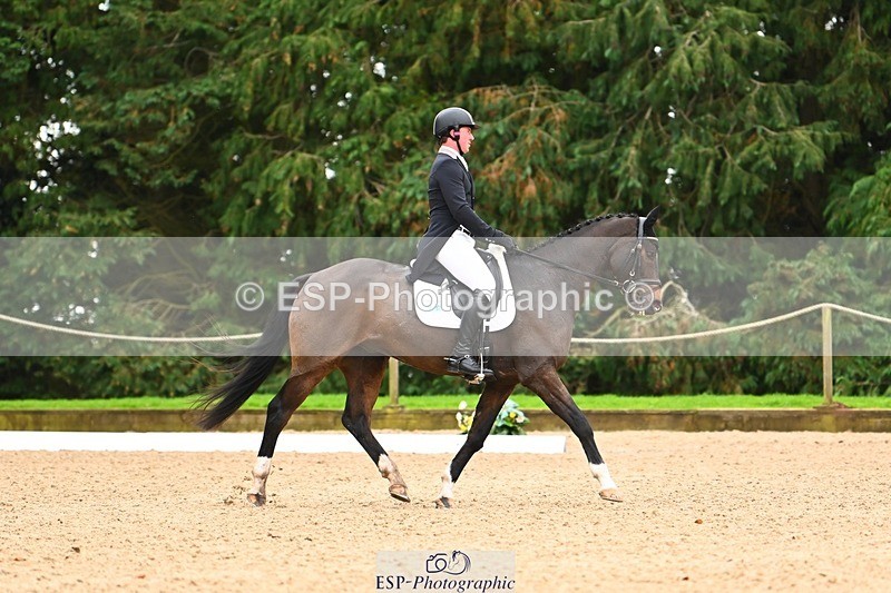 231020-154152-11924 - 215-ROYAL.CRUSADE-David.Doel-DR