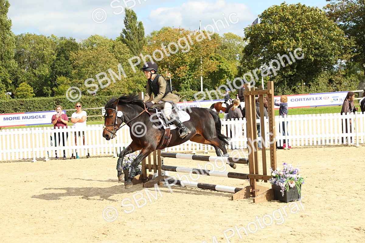 SBM_46597 - J7 - Junior Pony 60cm Championship